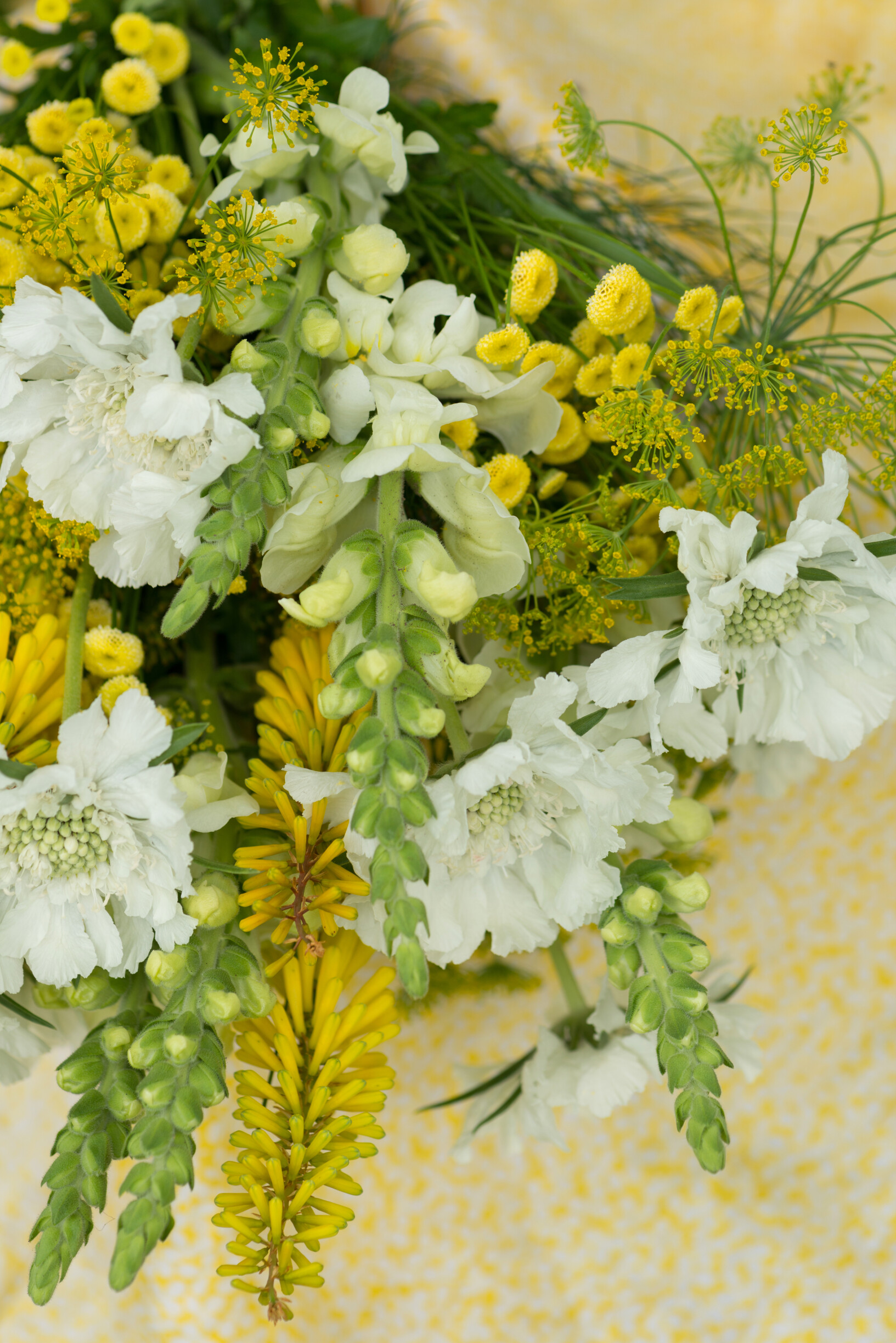 Yellow Tanacetum Bouquet